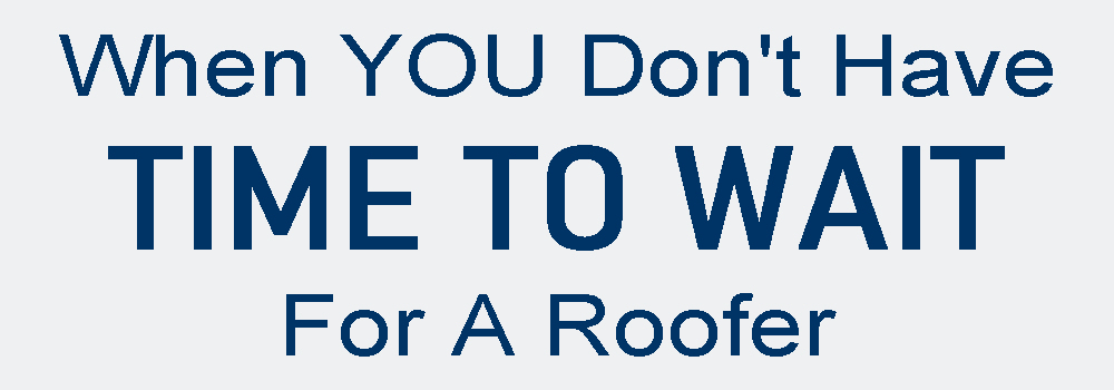 Shingle Roof Bid San Antonio